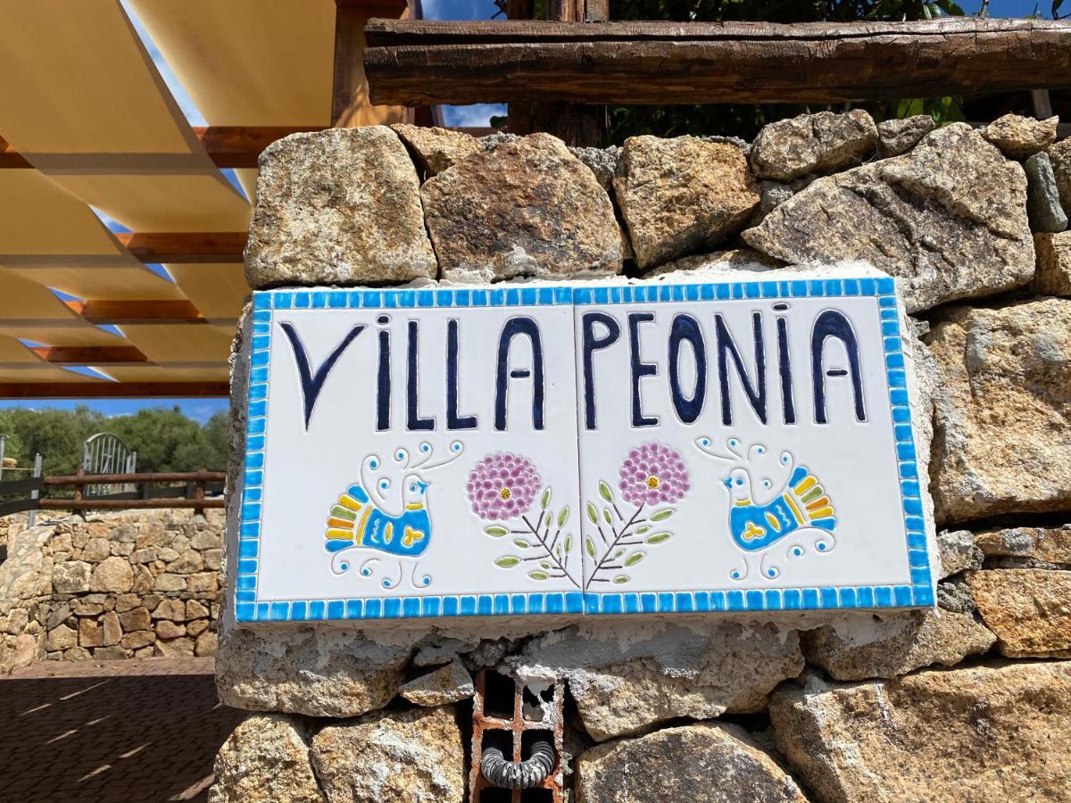 Villa Peonia 부도니 외부 사진