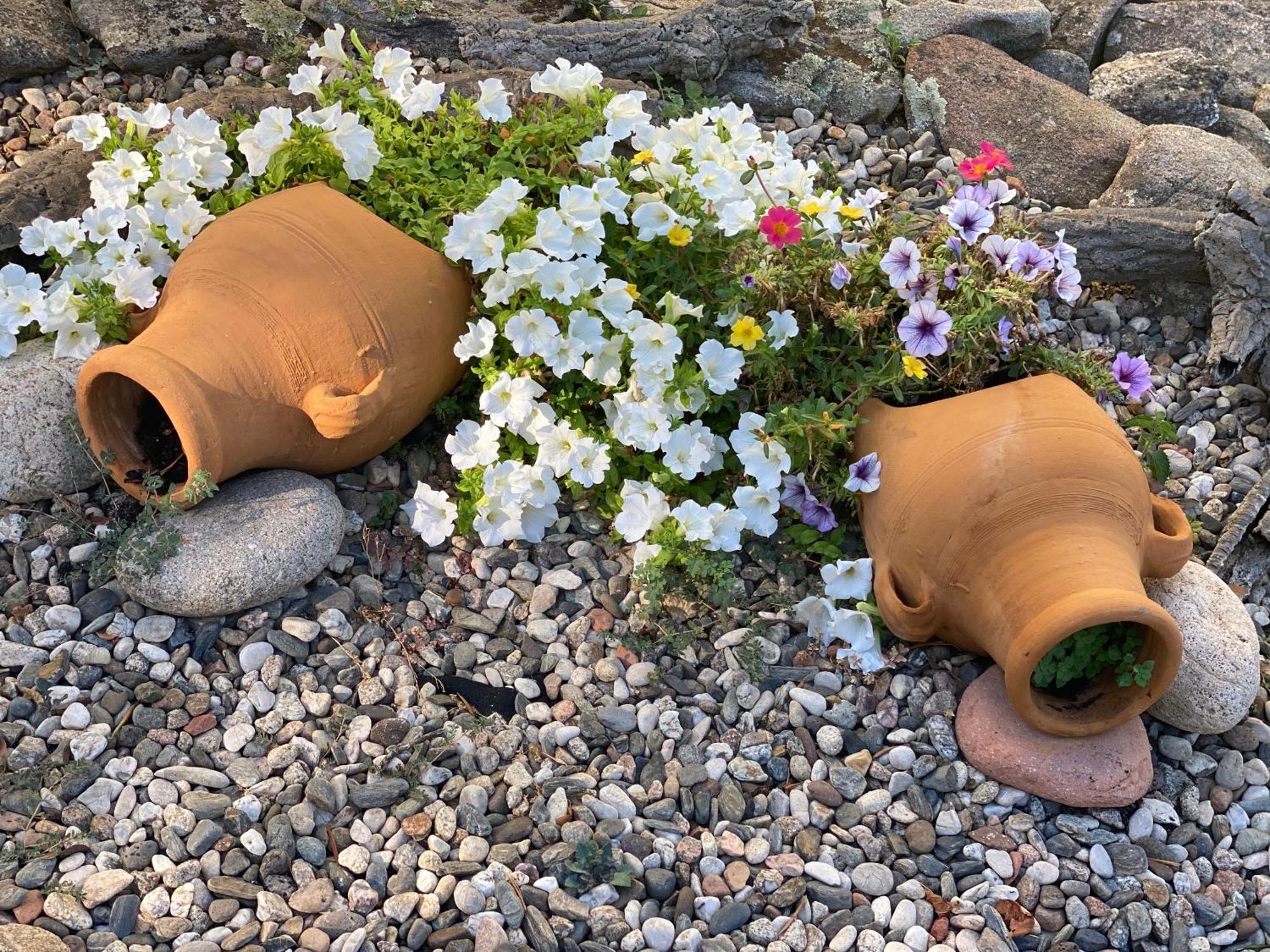 Villa Peonia 부도니 외부 사진